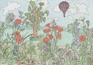 Der Ballon
